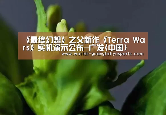 《最终幻想》之父新作《Terra Wars》实机演示公布-广发(中国)