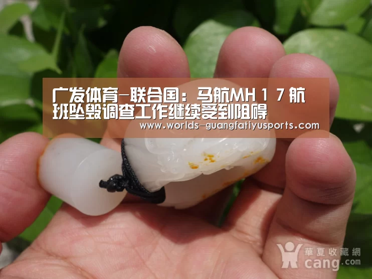 广发体育-联合国:马航MH17航班坠毁调查工作继续受到阻碍