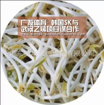 广发体育-韩国SK与武汉乙烯项目谋合作(图2) 广发(中国)